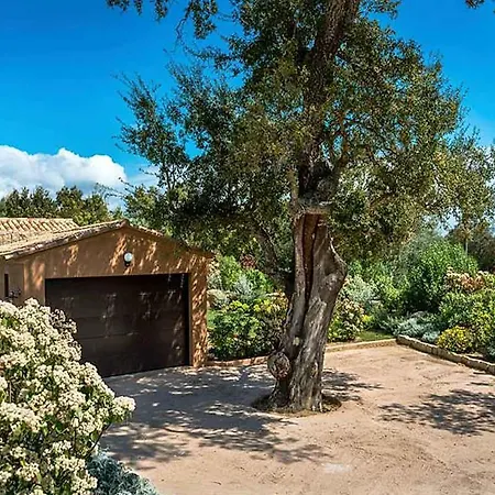 Prázdninový dům Porto-vecchio Sleeps 8 Pool *